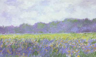 Claude Monet Field of Yellow Iris at Giverny China oil painting art